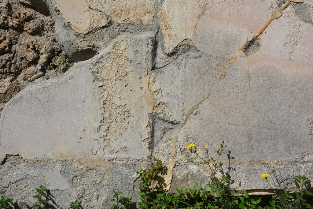 VI 15 5 Pompeii. March 2019. Oecus 24, detail of remaining decoration towards east end of north wall above bed recess.
Foto Annette Haug, ERC Grant 681269 D�COR.

