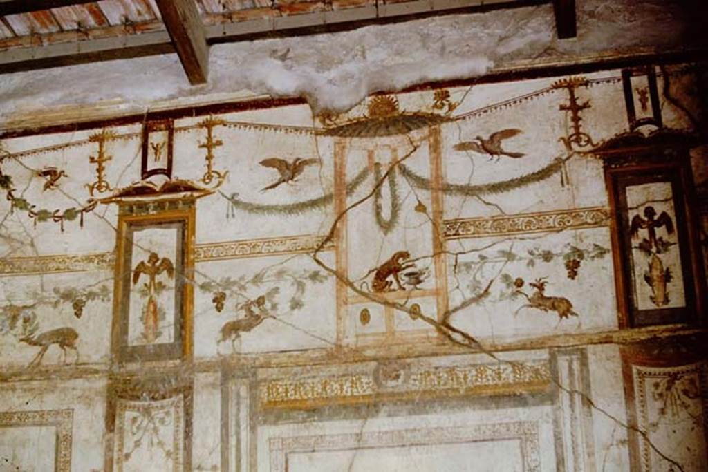 VI.15.8 Pompeii. 1961. Painted decoration on upper north wall of oecus. Photo by Stanley A. Jashemski.
Source: The Wilhelmina and Stanley A. Jashemski archive in the University of Maryland Library, Special Collections (See collection page) and made available under the Creative Commons Attribution-Non Commercial License v.4. See Licence and use details.
J61f0438