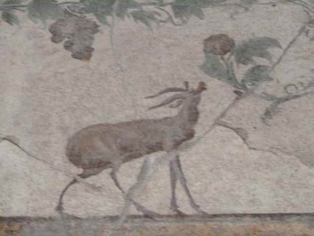 VI.15.8 Pompeii. May 2010. Detail from south wall of oecus.