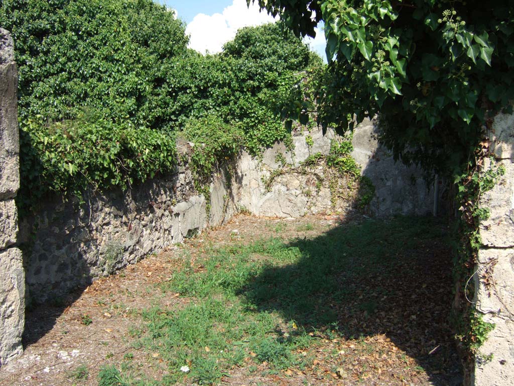 VI.15.23 Pompeii. September 2005. Looking east into tablinum/triclinium from east portico.
According to NdS, this room was linked to the oecus on its north (left) side, by a doorway in the north-west corner.
Both rooms were quite rustic, but spacious.
According to Sogliano in NdS, the floor of this triclinium was made of opus signinum with a rectangle of coloured marble in its centre.
He said the presence of this geometric ornamentation in the middle of the floor made clear that this room was a triclinium.
See Notizie degli Scavi di Antichità, March 1898, (p.126)
