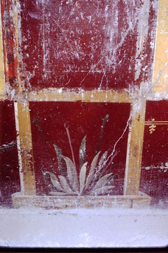 VI.16.7 Pompeii, 1968. Room R, painted plant at west end of south wall. Photo by Stanley A. Jashemski.
Source: The Wilhelmina and Stanley A. Jashemski archive in the University of Maryland Library, Special Collections (See collection page) and made available under the Creative Commons Attribution-Non Commercial License v.4. See Licence and use details.
J68f0247
