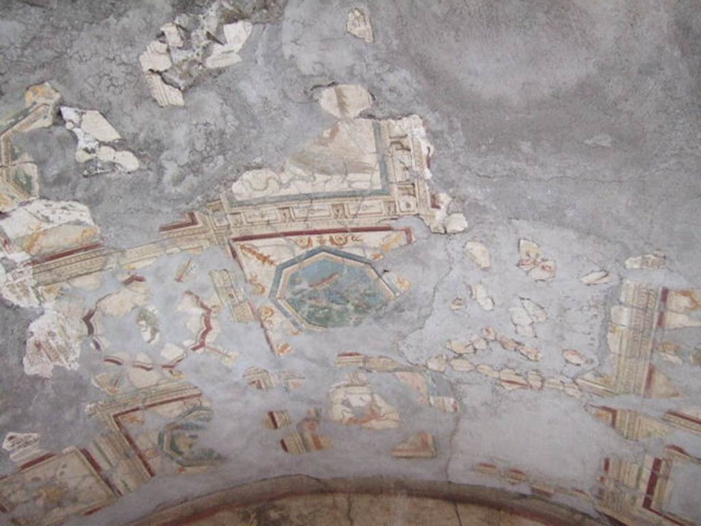 VI.16.7 Pompeii. May 2006. Room R, vaulted painted ceiling.