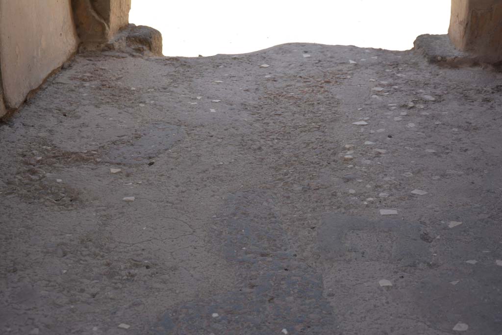 VI.16.7 Pompeii. July 2017. Entrance A, looking west across flooring in corridor/fauces.
Foto Annette Haug, ERC Grant 681269 D�COR.
