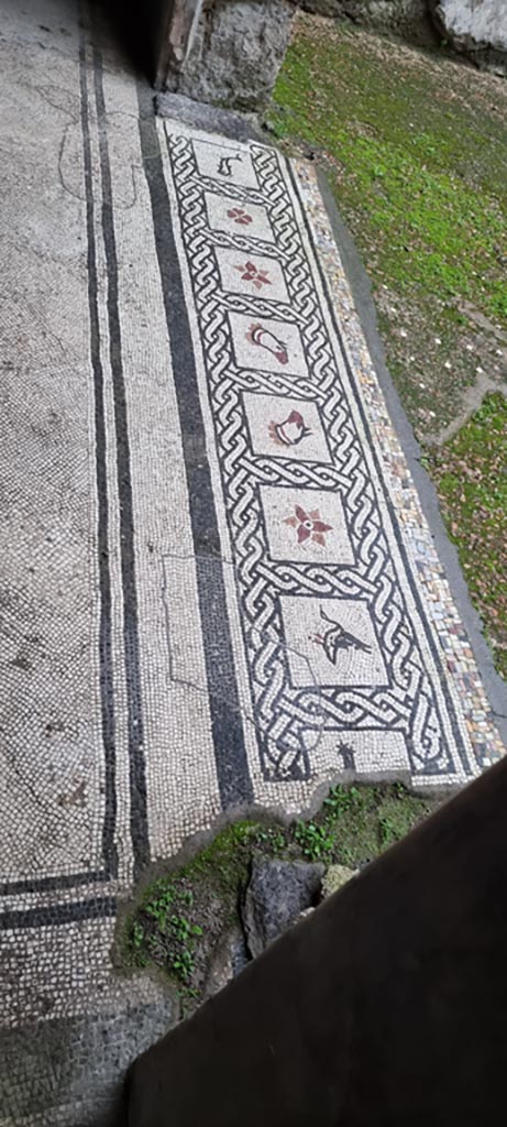 VI.16.7 Pompeii. January 2023.
Tablinum E, mosaic threshold of doorway from atrium B.
Photo courtesy of Miriam Colomer.