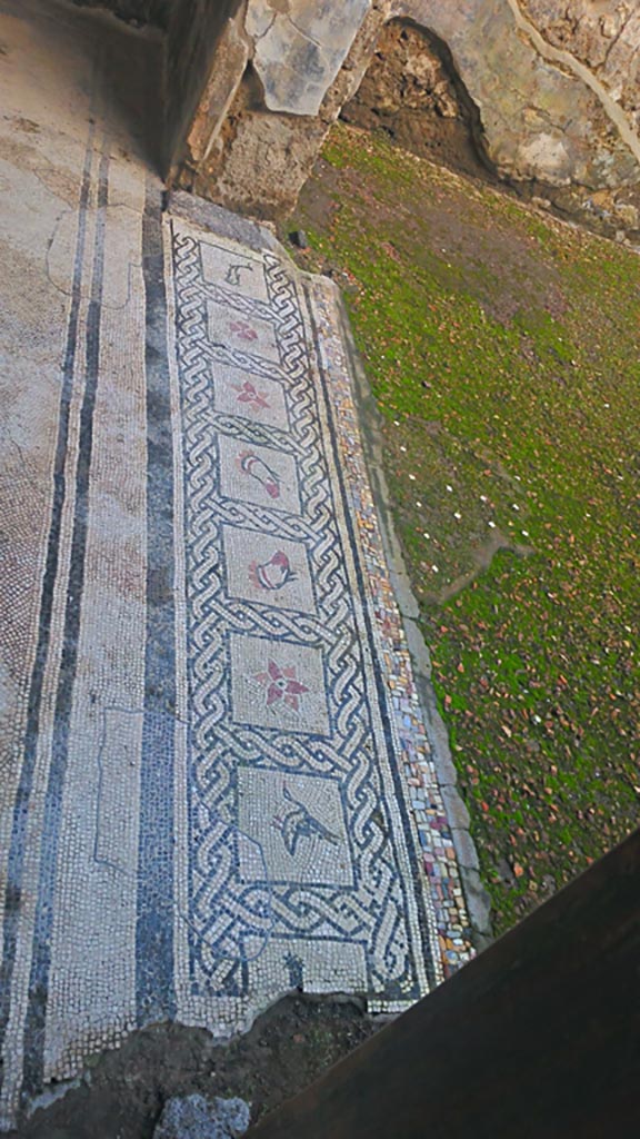 VI.16.7 Pompeii. December 2019.
Tablinum E, mosaic threshold of doorway from atrium B. Photo courtesy of Giuseppe Ciaramella.