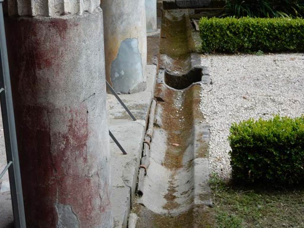 VI.16.7 Pompeii. May 2016. Room F, looking south along gutter with lead pipe on east side of peristyle/garden.
Photo courtesy of Buzz Ferebee.