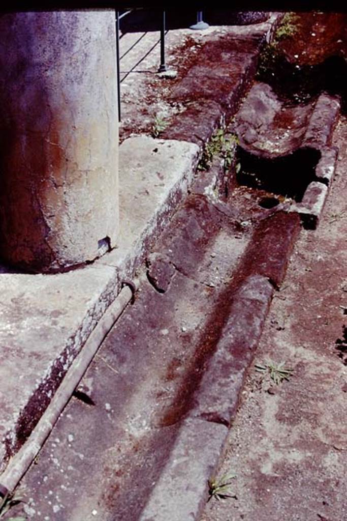 VI.16.7 Pompeii, 1978. Room F. Lower part of column painted yellow, and gutter around edge of peristyle with lead pipe.
Photo by Stanley A. Jashemski.
Source: The Wilhelmina and Stanley A. Jashemski archive in the University of Maryland Library, Special Collections (See collection page) and made available under the Creative Commons Attribution-Non-Commercial License v.4. See Licence and use details.
J78f0215