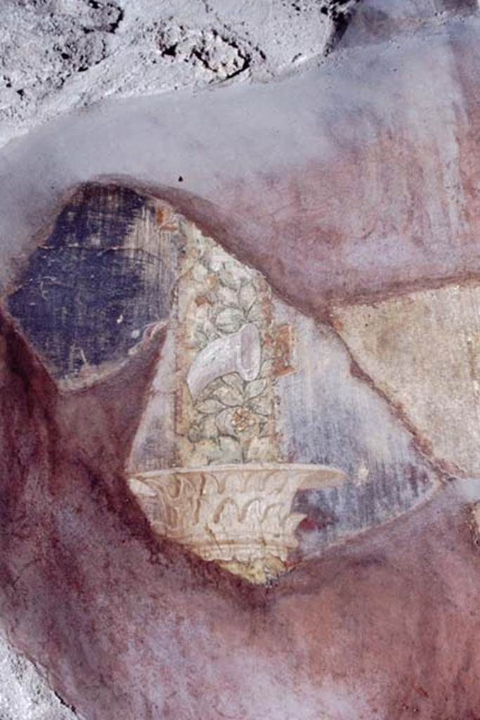 VI.16.7 Pompeii. 1968. Room G, detail from remains of painted plaster north side of central painting on east wall of oecus. Photo by Stanley A. Jashemski.
Source: The Wilhelmina and Stanley A. Jashemski archive in the University of Maryland Library, Special Collections (See collection page) and made available under the Creative Commons Attribution-Non Commercial License v.4. See Licence and use details.
J68f0205