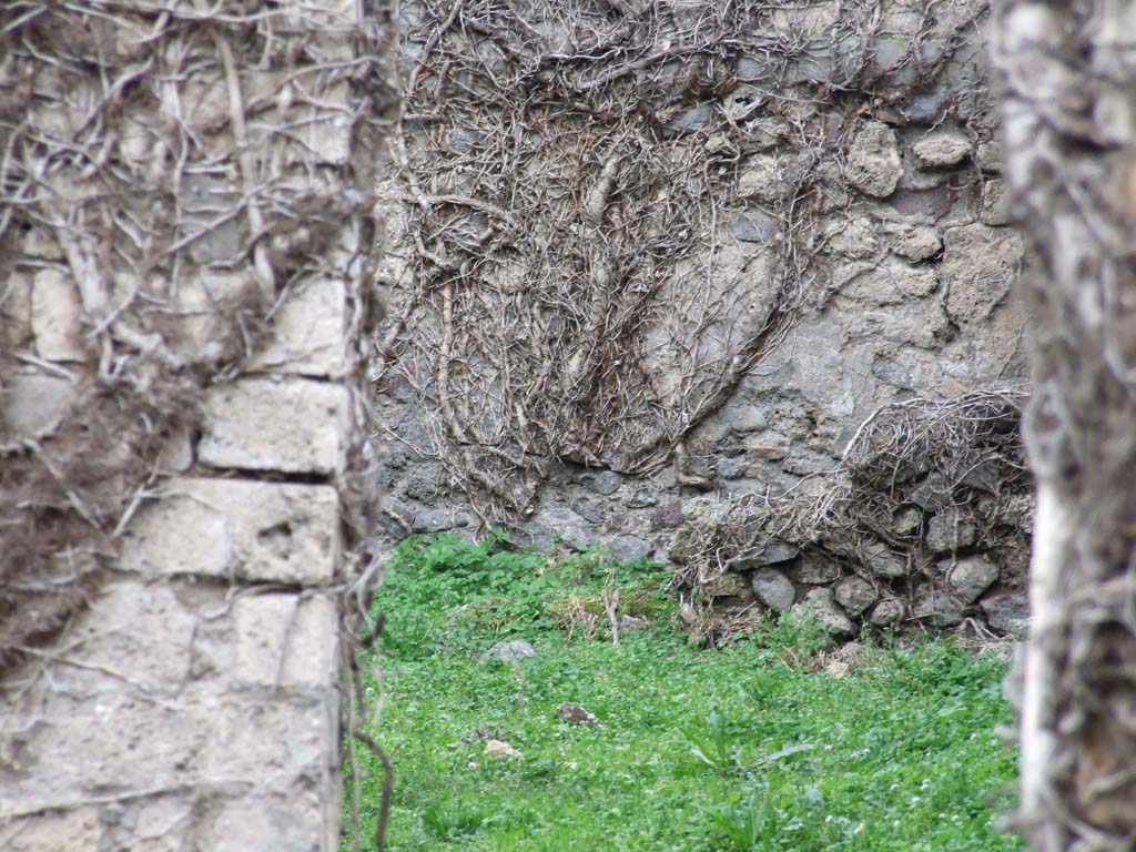 VI.16.10 Pompeii. December 2007. Rear of house.
According to Jashemski, the garden at the rear had a portico on the east supported by a pillar of brick and tufa cut in the shape of brick. 
The garden was enclosed by a low masonry wall built between the pillar and the north garden wall.
In the south-east corner of the garden, there was a terracotta puteal.
See Jashemski, W. F., 1993. The Gardens of Pompeii, Volume II: Appendices. New York: Caratzas. (p.164).
