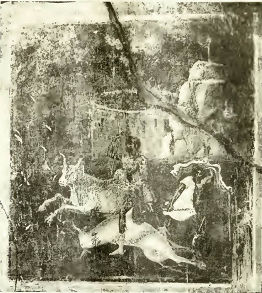 VI.16.28 Pompeii. 1908. Room F, north wall, painting of the Hunt of the Bulls. See Notizie degli Scavi di Antichit�, 1908, p. 274, fig. 2. According to NdS, the central painting on the north wall was the same size as that on the eastern wall. The painting was better preserved and here one could see a bull galloping to the left with elevated front legs. A man with brown complexion and short tunic was trying to hit him with a spear, which he held in his right hand. Beneath the legs of the man was the body of another bull. Somewhat more to the right of the picture, another man was watching the group. See Notizie degli Scavi di Antichit�, 1908, (p.273-4).
