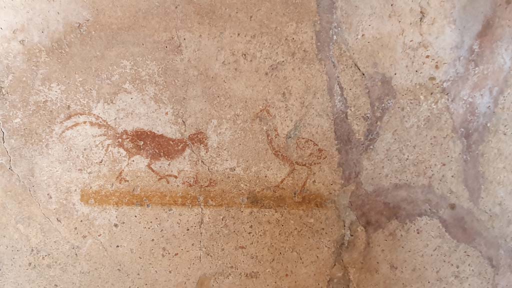 VI.16.33 Pompeii. July 2021. East wall with painted birds.
Foto Annette Haug, ERC Grant 681269 D�COR.
