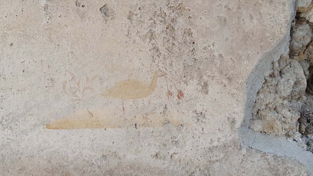 VI.16.33 Pompeii. July 2021. Detail of a second painted bird on centre of north wall of bar-room.
Foto Annette Haug, ERC Grant 681269 D�COR.

