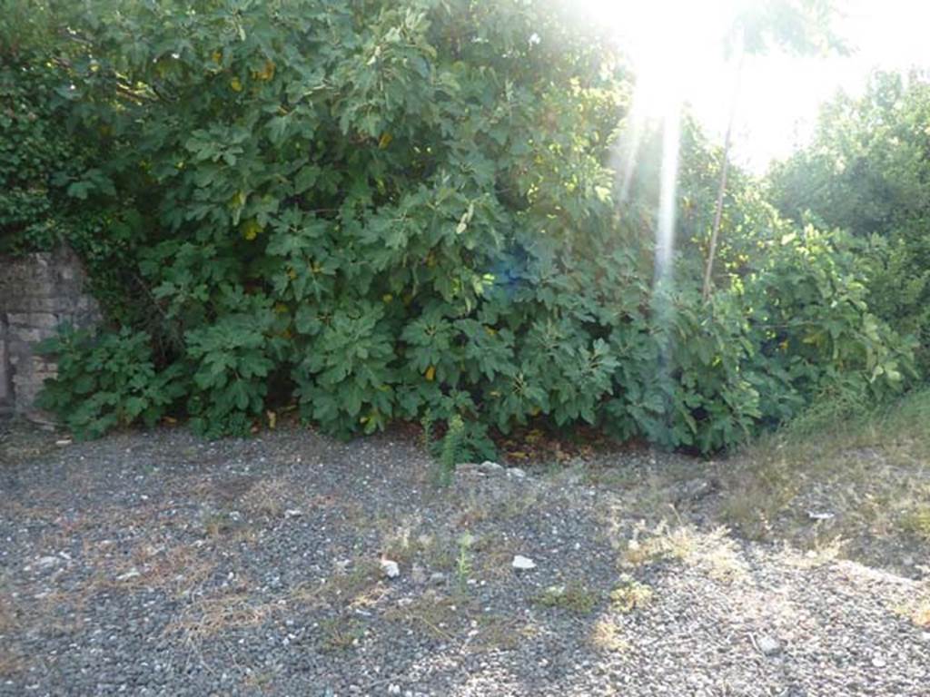 VI.17.10 Pompeii. September 2015. Looking towards south-west corner of atrium, and site of possible third cubiculum.
According to Allroggen-Bedel – In the room on the right of the middle cubiculum, there is no depression for the bed. 

