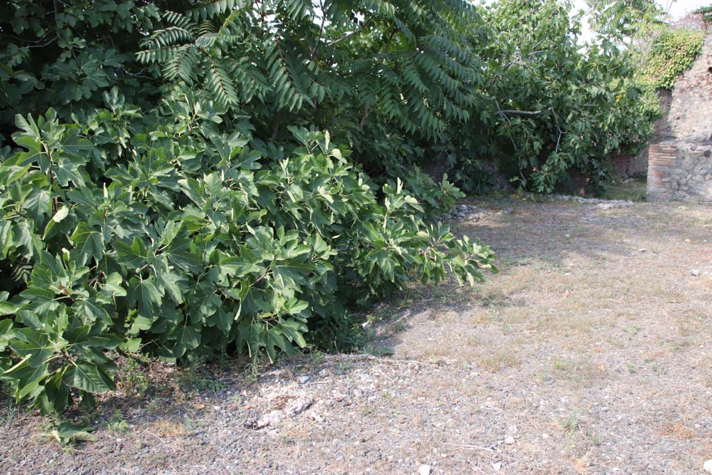 VI.17.10 Pompeii. September 2021. 
Looking along west side of atrium towards north-west corner, on right. Photo courtesy of Klaus Heese.
