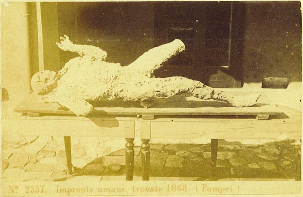 Photograph of the human plaster-cast found on 12th March 1868, in VII.2.16 Pompeii. 
Photo courtesy of Rick Bauer. This cast, known as the Fifth Victim, was placed in the Archaeological School, and it was here that Ernest Breton saw it, and described
�This unfortunate was discovered lying on his stomach in a room to the left of the atrium of the House of Gavius Rufus.  Six other skeletons were near him� from Breton, 1869.
See Dwyer, E., 2010. Pompeii�s Living Statues. Ann Arbor: Univ of Michigan Press. (p. 80)
See Breton, Ernest. 1870. Pompeia, Guide de visite a Pompei, 3rd ed. Paris, Guerin. 
According to Fiorelli � �Sette scheletri umani furono trovati in questo luogo, uno dei quali bocconi ed in atto di supremo sforzo, per emettere il respiro soffocato dalle esalazioni vulcaniche, fu da ma rivestito delle forme del suo corpo, ricavandole dalla impronta che vi era rimasta nella cenere.� See Fiorelli, G. (1875). Descrizione, (p.187).  See Pappalardo, U., 2001. La Descrizione di Pompei per Giuseppe Fiorelli (1875). Napoli: Massa Editore. (p.81)
(translation � � Seven human skeletons were found in this place, one of which was face down and in the process of making his last effort to emit his breath choked by volcanic fumes.  He was clothed by me in his bodily forms by obtaining them from the impression that remained in the ashes.�
