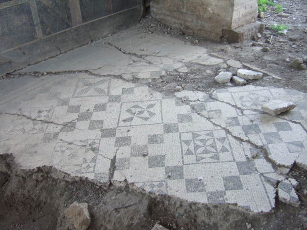 VI.17.36, Pompeii. May 2006. Taken from VI.17.41. Looking north-west. Black and white mosaic floor of western cubiculum (room “b”) of VI.17.36, on south side of peristyle. The west decorated wall can be seen in the top left, it had a black zoccolo. According to PPP, the middle zone of the wall was yellow.
See Bragantini, de Vos, Badoni, 1986. Pitture e Pavimenti di Pompei, Parte 3. Rome: ICCD. (p.2)