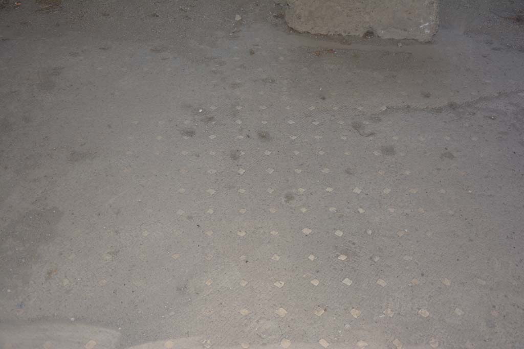 VI.17.41 Pompeii. September 2019. Detail of flooring in atrium at east end.
Foto Annette Haug, ERC Grant 681269 D�COR.
