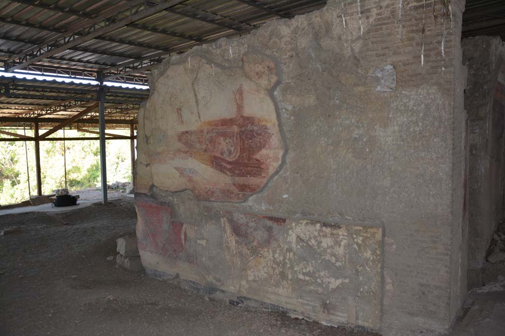 VI.17.41 Pompeii. September 2019. North wall of tablinum.
Foto Annette Haug, ERC Grant 681269 D�COR.
