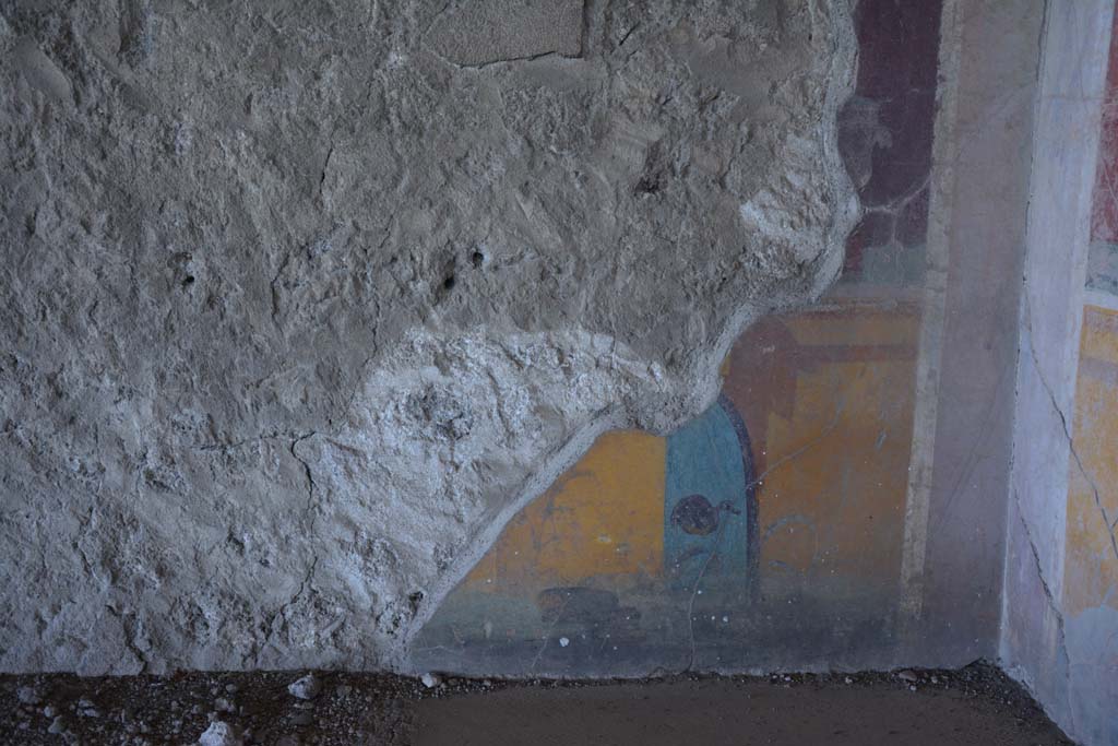 VI.17.41 Pompeii. September 2019. Cubiculum 17, detail from zoccolo of lower north wall in north-east corner.
Foto Annette Haug, ERC Grant 681269 D�COR.
