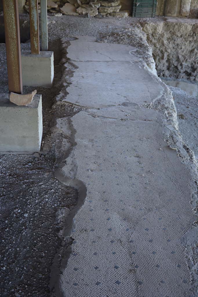 VI.17.41 Pompeii. September 2019. 
Looking south along flooring from portico on west side of rear rooms. 
Foto Annette Haug, ERC Grant 681269 D�COR.

