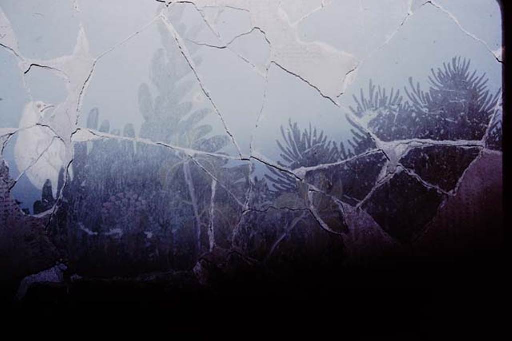 VI.17.42 Pompeii. 1980. Oecus 32. Part of garden fresco from south wall, during its reconstruction. Photo by Stanley A. Jashemski.   
Source: The Wilhelmina and Stanley A. Jashemski archive in the University of Maryland Library, Special Collections (See collection page) and made available under the Creative Commons Attribution-Non Commercial License v.4. See Licence and use details. J80f0198
