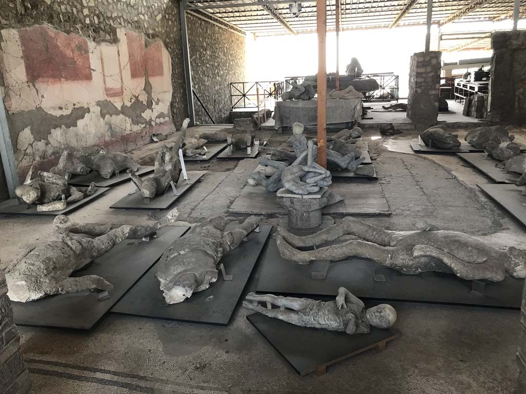 VI.17.42 Pompeii. April 2019. Looking west across atrium, with assortment of body plaster-casts.
Photo courtesy of Rick Bauer.