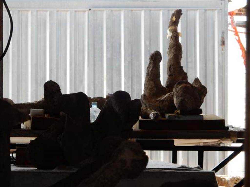 VI.17.42 Pompeii. May 2015. Looking towards body-casts on west side of atrium.
Photo courtesy of Buzz Ferebee.