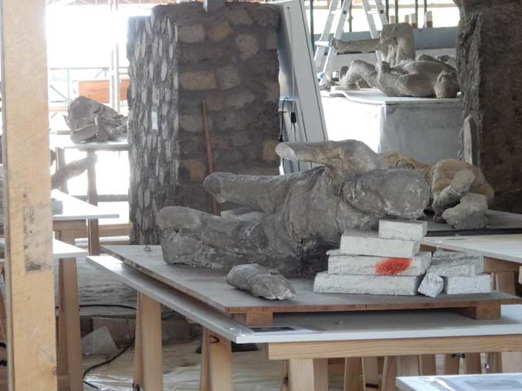 VI.17.42 Pompeii. May 2015. Detail of a body-cast. Photo courtesy of Buzz Ferebee.