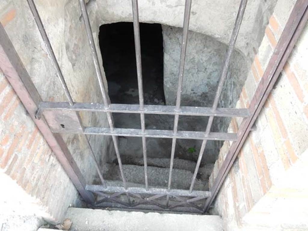 VI.17.43 Pompeii. May 2015. Looking west at steps into cellar, from entrance.
Photo courtesy of Buzz Ferebee.
