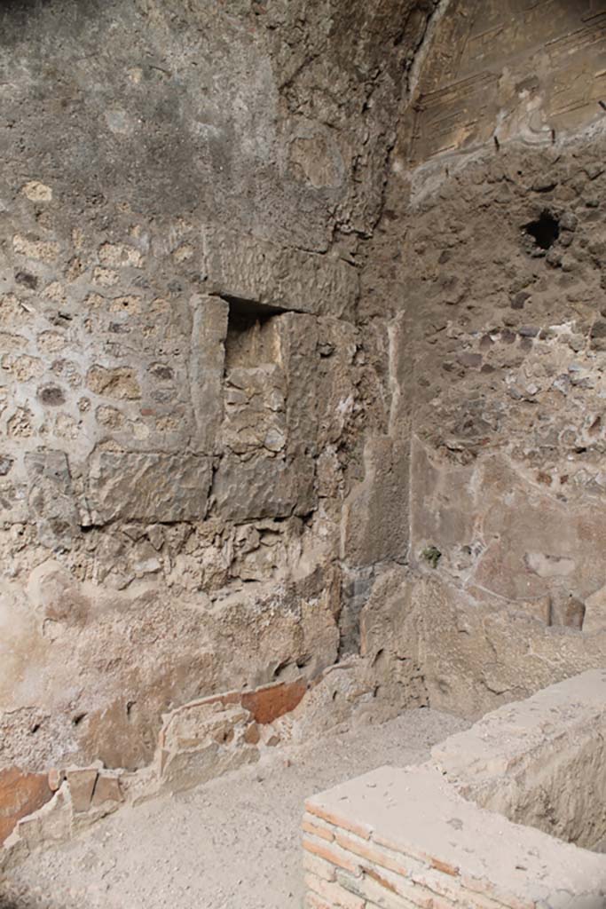 VII.1.8 Pompeii. March 2014. Detail from north wall in north-east corner.
Foto Annette Haug, ERC Grant 681269 DÉCOR
