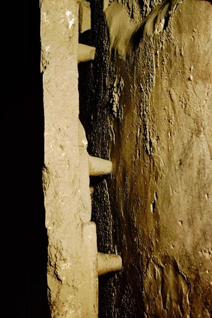 VII.1.8 Pompeii. 1957. 
Looking at the rear of one of the �tegulae mammatae�, allowing for the hot air to circulate. 
Photo by Stanley A. Jashemski.
Source: The Wilhelmina and Stanley A. Jashemski archive in the University of Maryland Library, Special Collections (See collection page) and made available under the Creative Commons Attribution-Non-Commercial License v.4. See Licence and use details.
J57f0118

