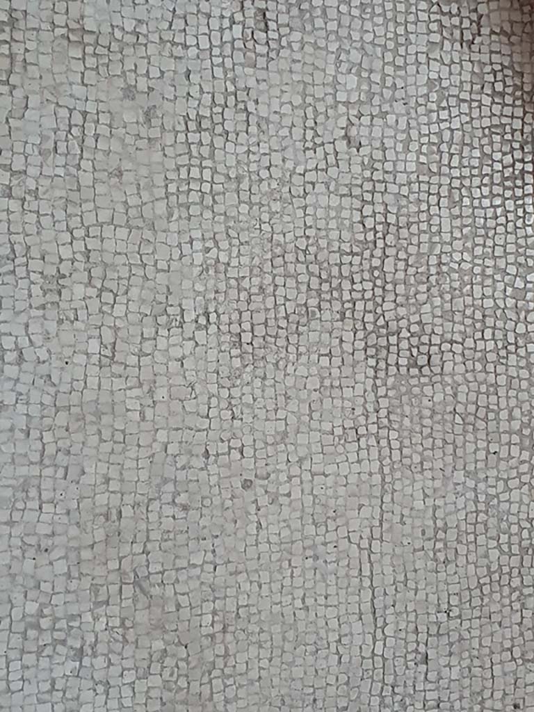 VII.1.8 Pompeii. July 2021. Caldarium 9, flooring.     
Foto Annette Haug, ERC Grant 681269 D�COR
