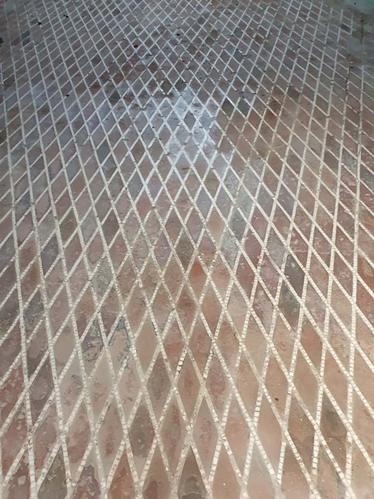 VII.1.8 Pompeii. July 2021. Mosaic floor in women�s changing room 11
Foto Annette Haug, ERC Grant 681269 D�COR
