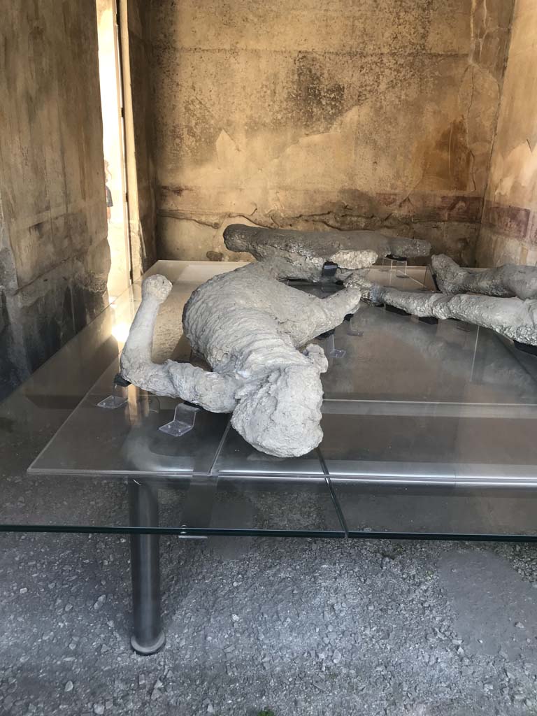 VII.1.47 Pompeii. April 2019. Room 8, looking towards south-west corner, and west wall. 
The doorway to corridor 7 is at the west end of the south wall. Photo courtesy of Rick Bauer.

