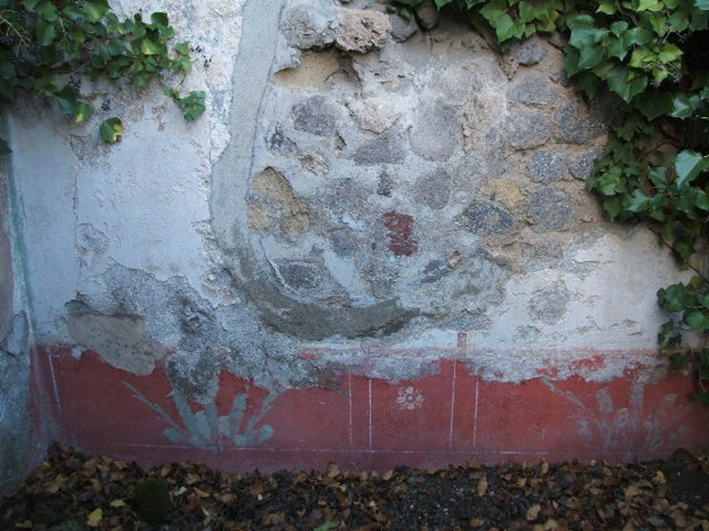 VII.2.6 Pompeii. December 2004. Painted wall decoration on north wall of cubiculum in north-west corner of atrium.  The north wall had a red zoccolo, with a central compartment containing a painted rosette with four petals, in the two side panels were painted plants. The middle zone was painted white. All the walls of this room seemed to have a similar scheme but were faded and most of the plaster was missing. Found here were, among others, a panel of a “Cupid with a bunch of grapes held high in the right hand” (Sogl. 285), and a “female crowned figure, naked except for a veil that fell from her arms behind her shoulders, carrying a face in the right hand and a basket of flowers in the left hand” (Sogl. 795). 
See Sogliano, A., 1879. Le pitture murali campane scoverte negli anni 1867-79. Napoli: Giannini. (Sog. p.56, no. 285, and p. 155, no.795).
