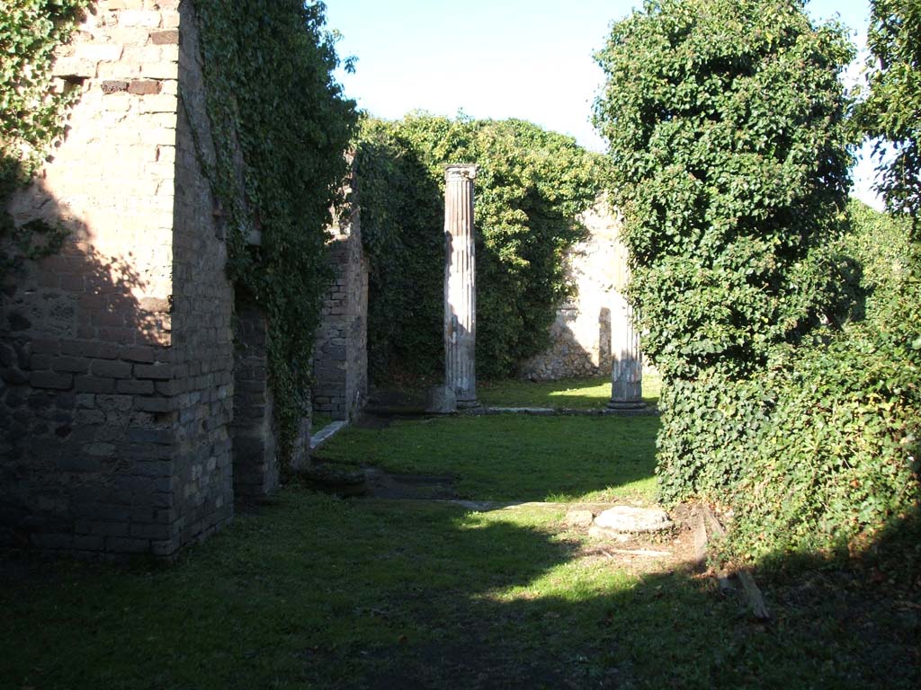 VII.2.11 Pompeii. December 2004. Looking north across rear of peristyle.