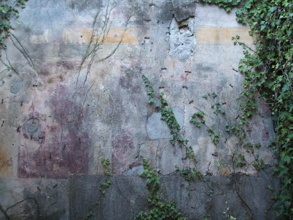 VII.2.11 Pompeii. December 2004. Painted plaster.
