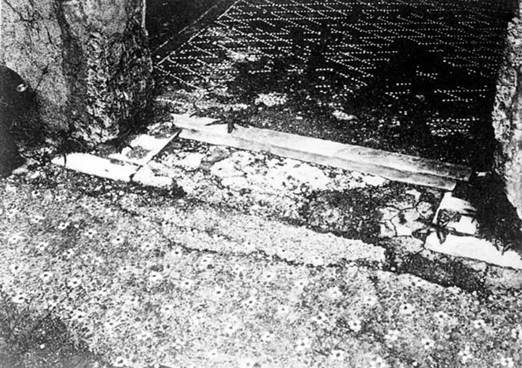 VII.2.16 Pompeii. W.6. 
Photograph of mosaic flooring, and room threshold, (exact location inside this house unknown, but according to Pernice �cubiculum �r�).    
Photo by Tatiana Warscher. Photo � Deutsches Arch�ologisches Institut, Abteilung Rom, Arkiv. 
