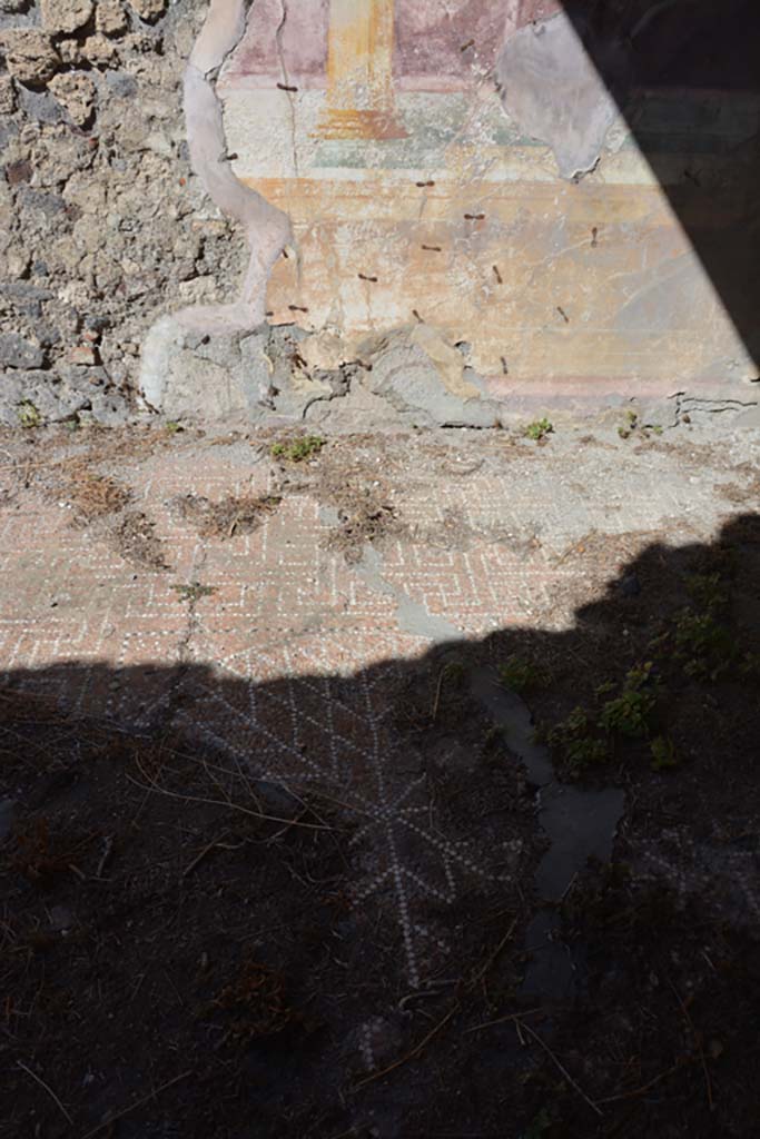 VII.2.16 Pompeii. October 2019. Oecus 10, looking north across flooring.
Foto Annette Haug, ERC Grant 681269 D�COR.


