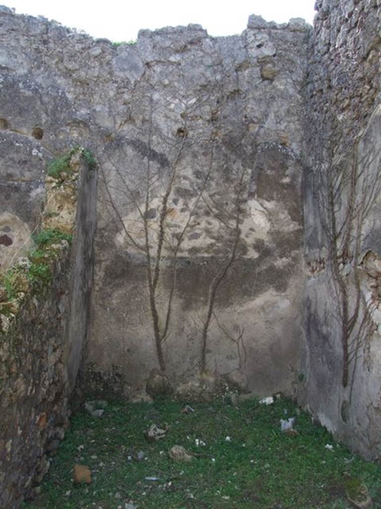 VII.2.16 Pompeii.  March 2009.  Room 19. Cubiculum.  Looking south.