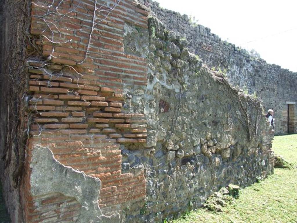 VII.2.18 Pompeii. March 2009. Room 10, east wall of tablinum. 