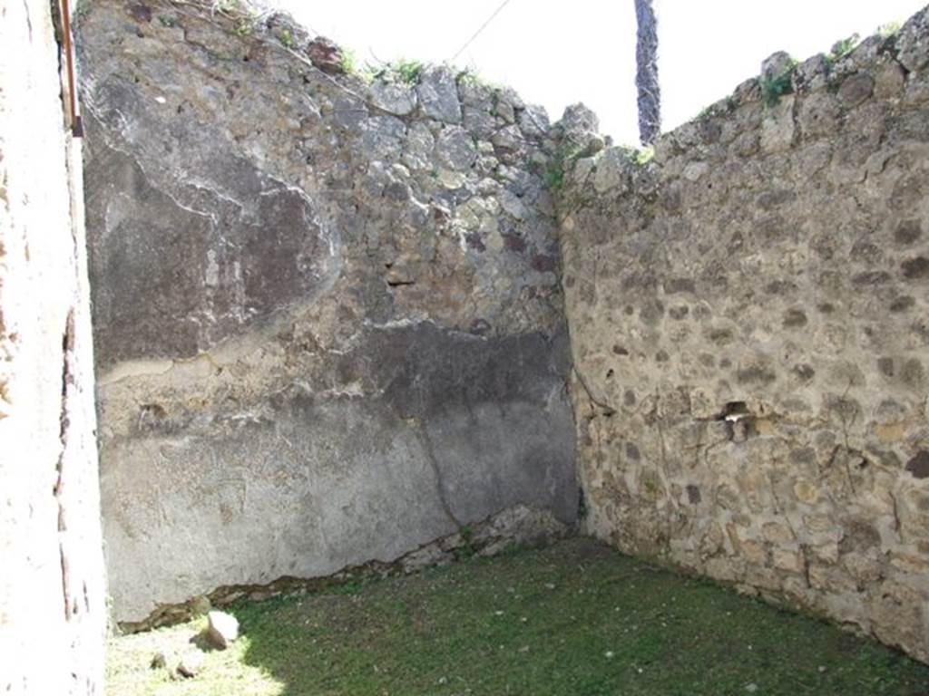 VII.2.20 Pompeii. March 2009. Room 7, south-east corner of oecus.  