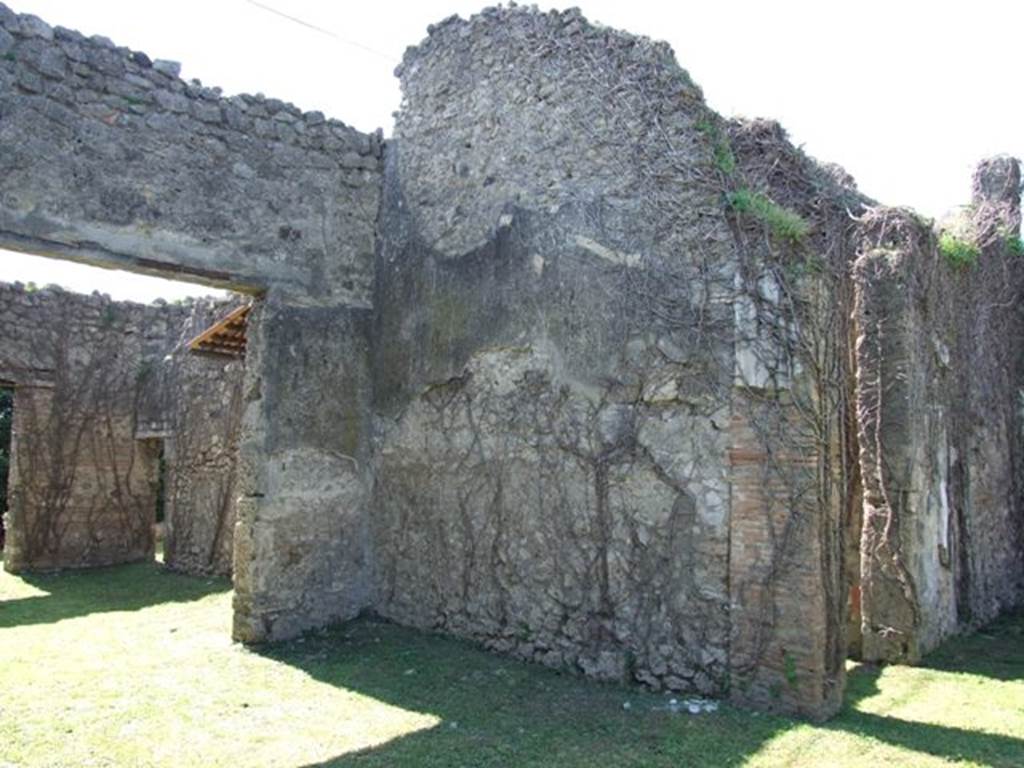 VII.2.20 Pompeii. March 2009. Room 8, west wall of north part of double tablinum.  