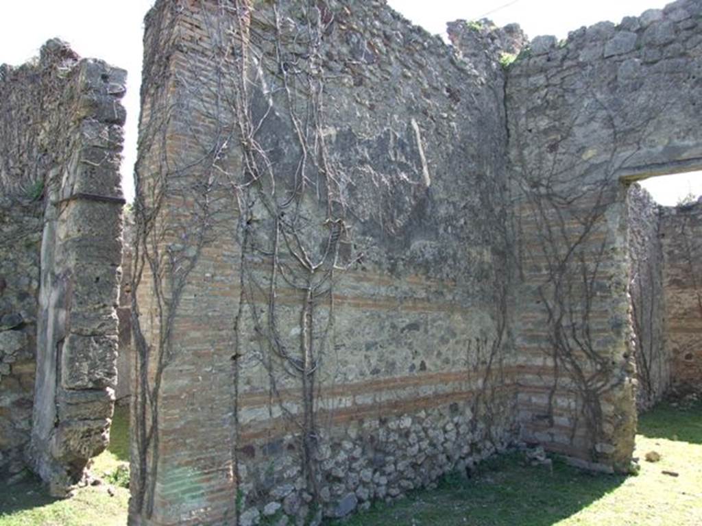 VII.2.20 Pompeii. March 2009.  Room 8, east wall of north part of double tablinum.  