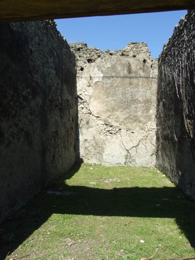 VII.2.20 Pompeii.  March 2009.  Room 11.  Triclinium.  Looking north.