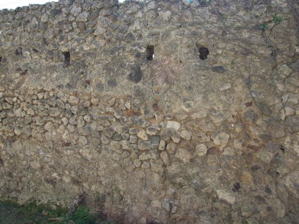 VII.2.20 Pompeii. March 2009. Room 12, south wall of triclinium.  