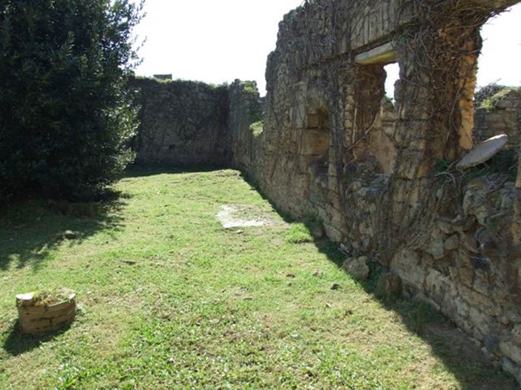 VII.2.20 Pompeii.  March 2009.  Looking south along west portico, from outside Room 12.