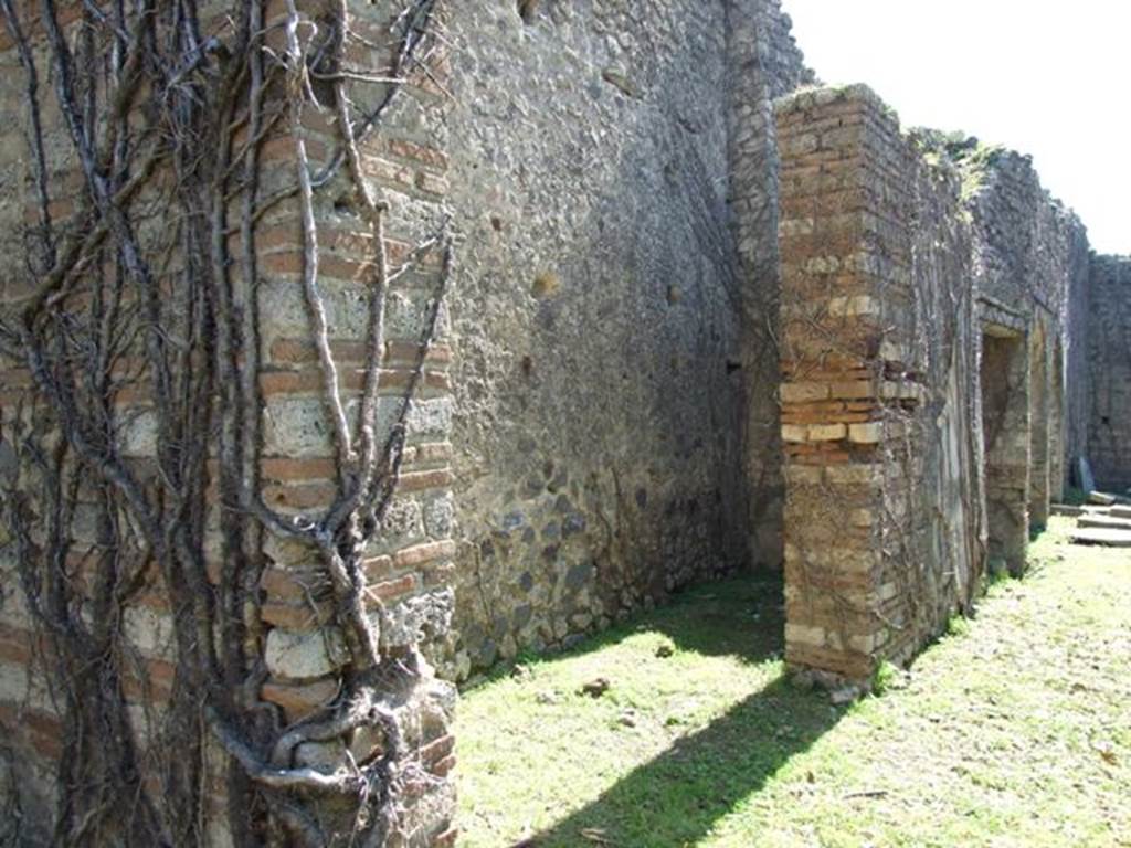 VII.2.20 Pompeii. March 2009. Room 15, area in north-east corner of east portico.