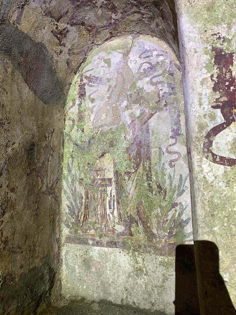 VII.2.20 Pompeii. November 2024. 
Painted lararium niche on north wall at west (left) side. Photo courtesy of Yuliya Sanchenko.
