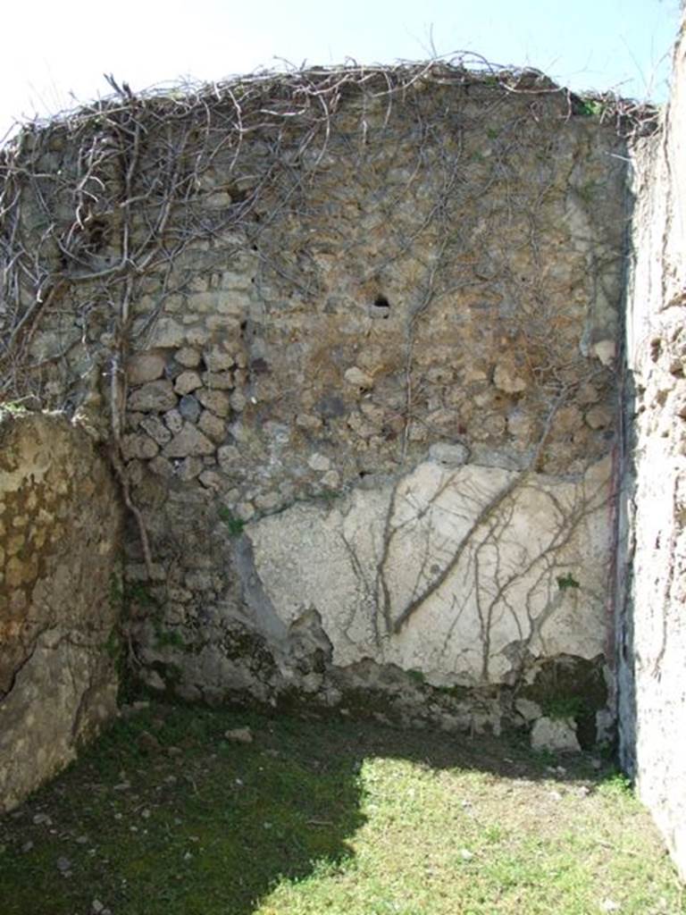 VII.2.20 Pompeii.  March 2009.  Room 18. Cubiculum.West wall.